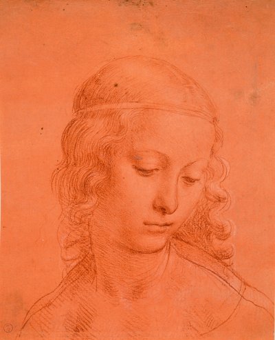 乙女の頭、c。 1508-10（準備された赤い紙に白いラッカーを加えた血） 作： Leonardo da school of Vinci